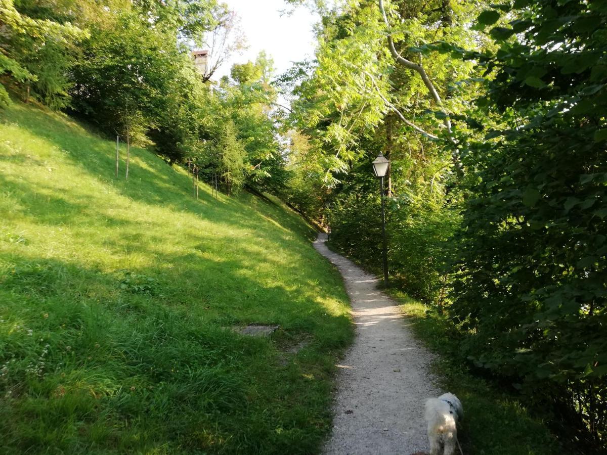 Apartament Tree Bled Zewnętrze zdjęcie