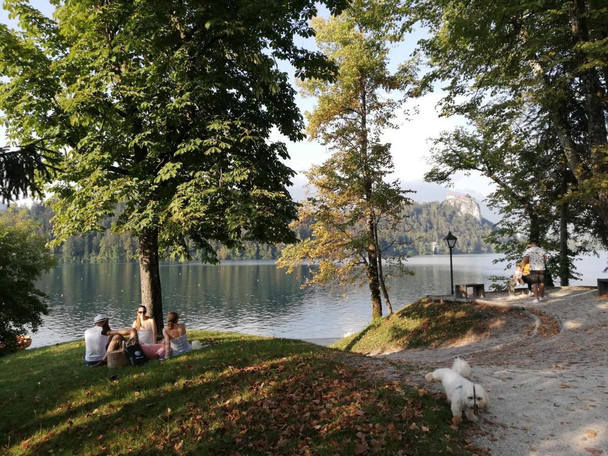 Apartament Tree Bled Zewnętrze zdjęcie