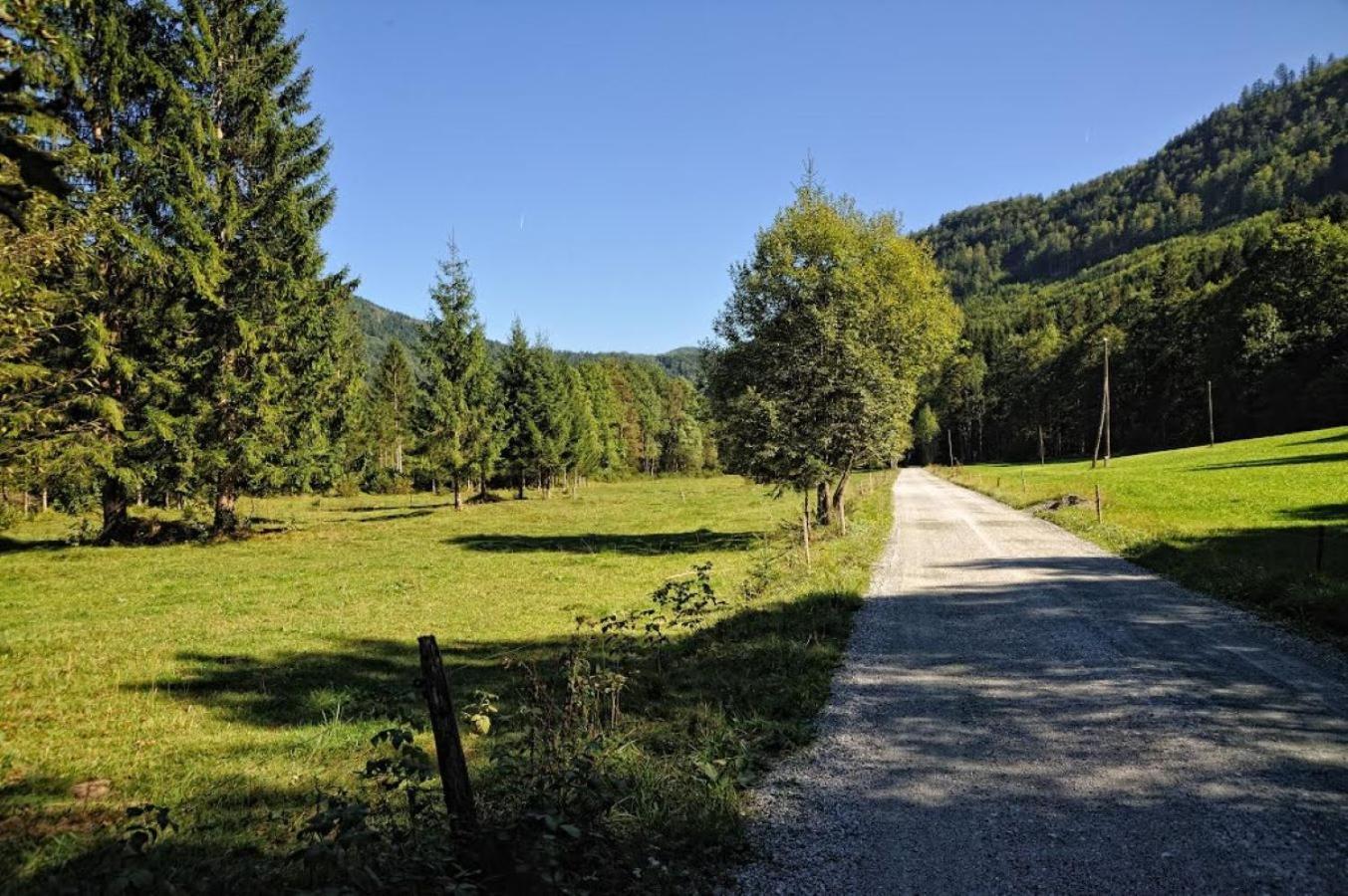 Apartament Tree Bled Zewnętrze zdjęcie