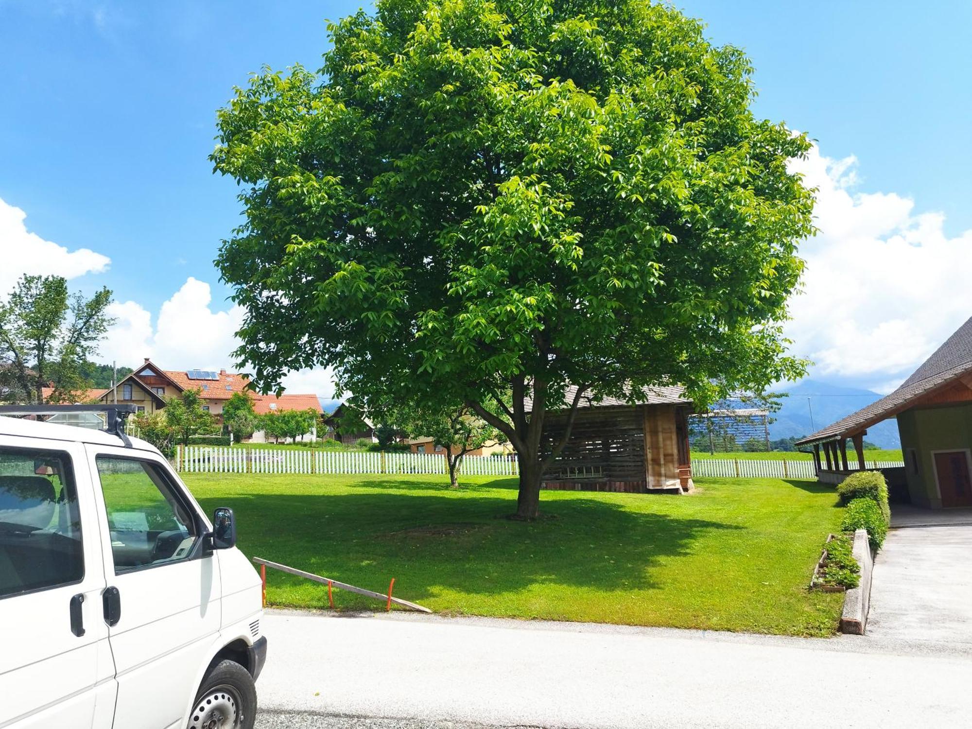 Apartament Tree Bled Zewnętrze zdjęcie
